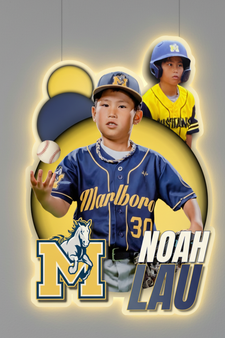 LED Backlit Sports Sign Example 2