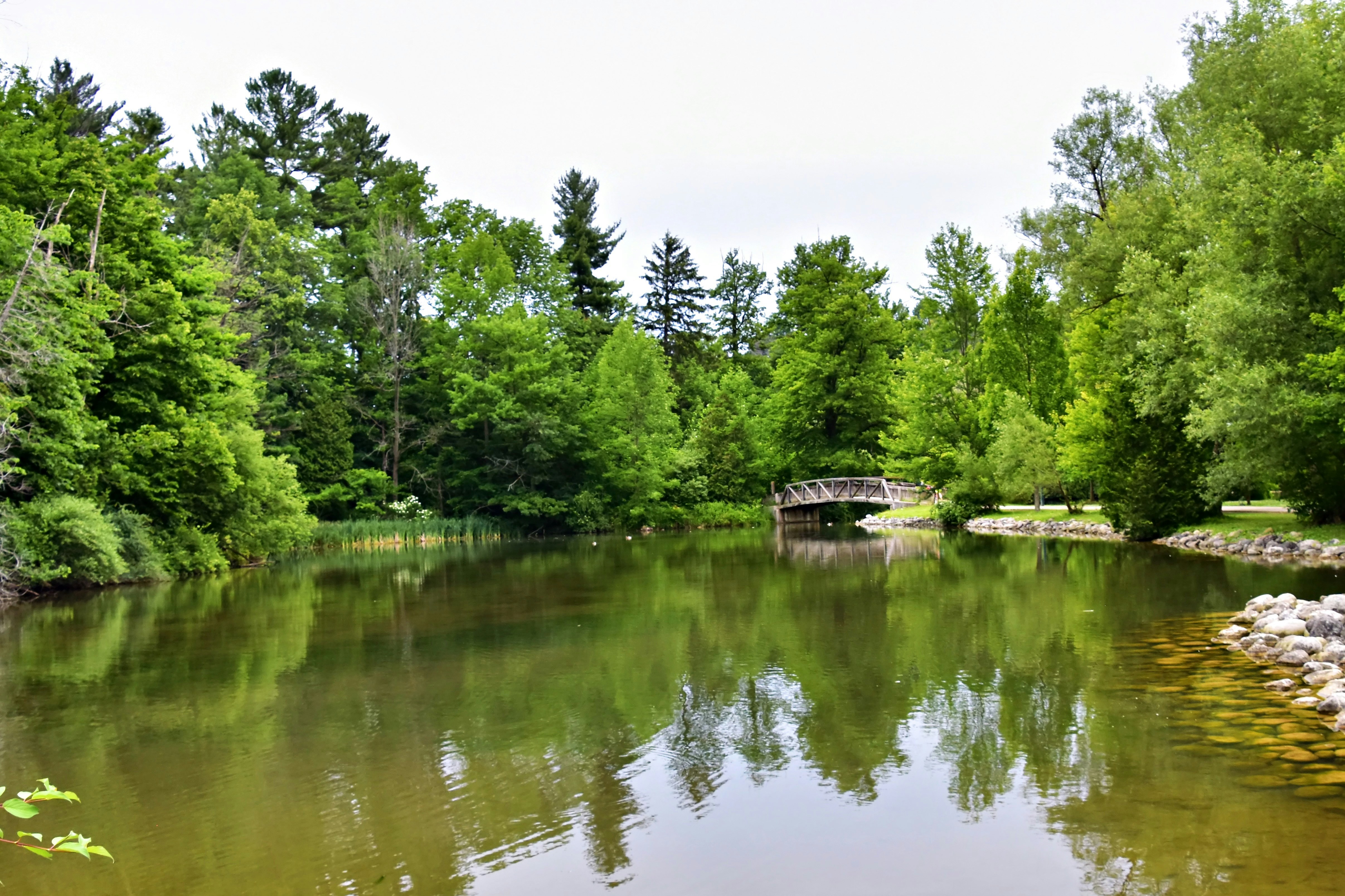 Pond and Water Feature Services