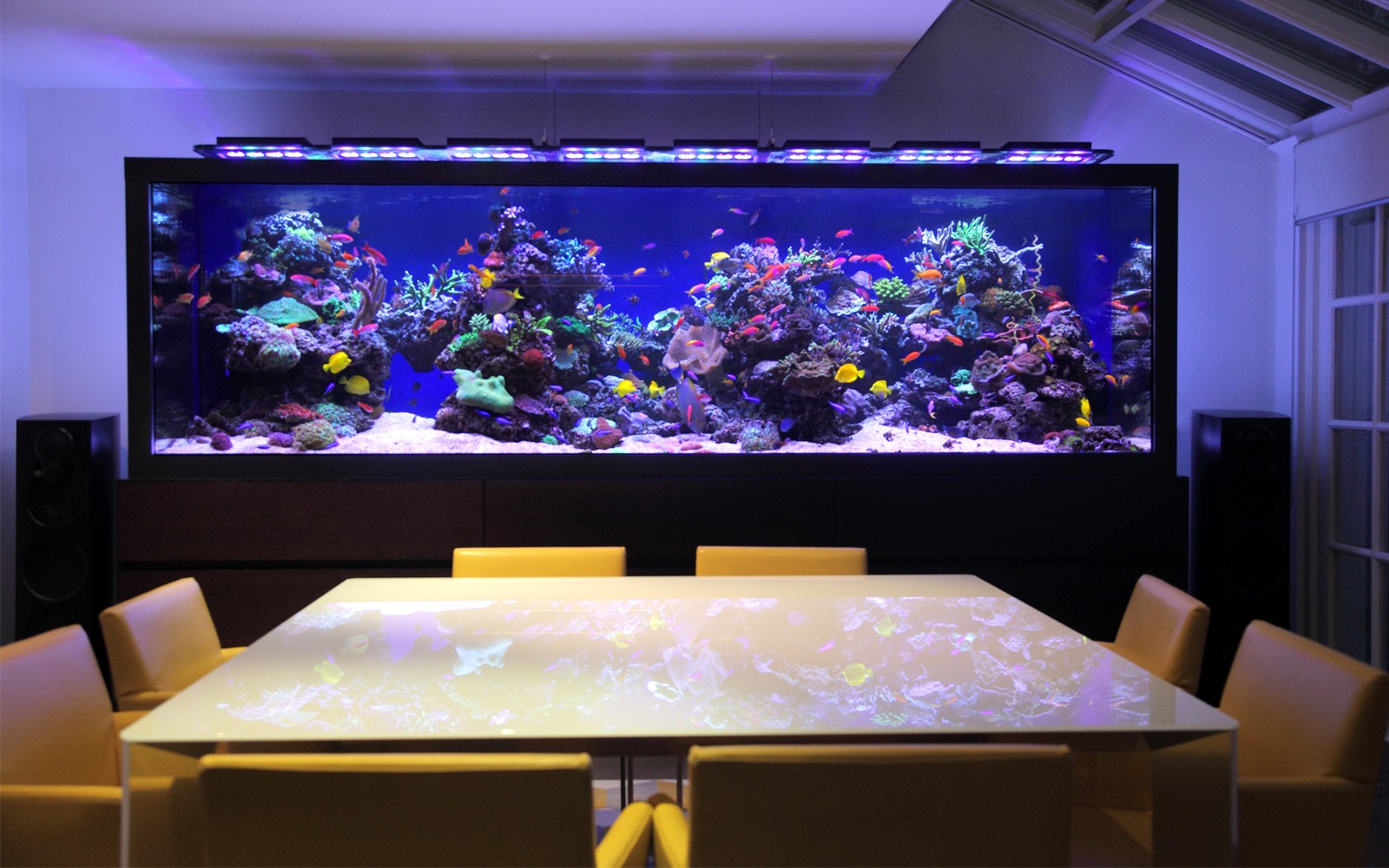 Aquascaping Design